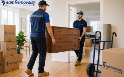Furniture Movers in Hamilton for Easy and Organized Relocation