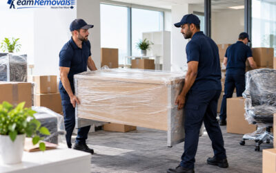 People Who Moved to Canada: Honest Experiences and Office Movers In Brampton 